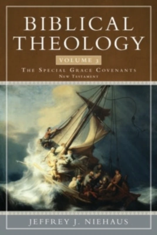 Image of Biblical Theology, Volume 3 Paperback / softback
