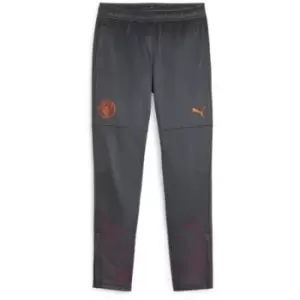 Image of Puma Manchester City Training Bottoms 2023 2024 Juniors - Grey