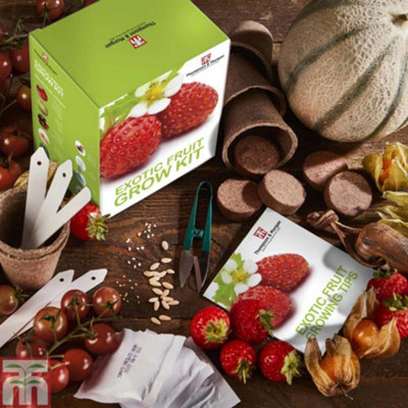 Image of Thompson & Morgan Seed Growing Kit - Exotic Fruits