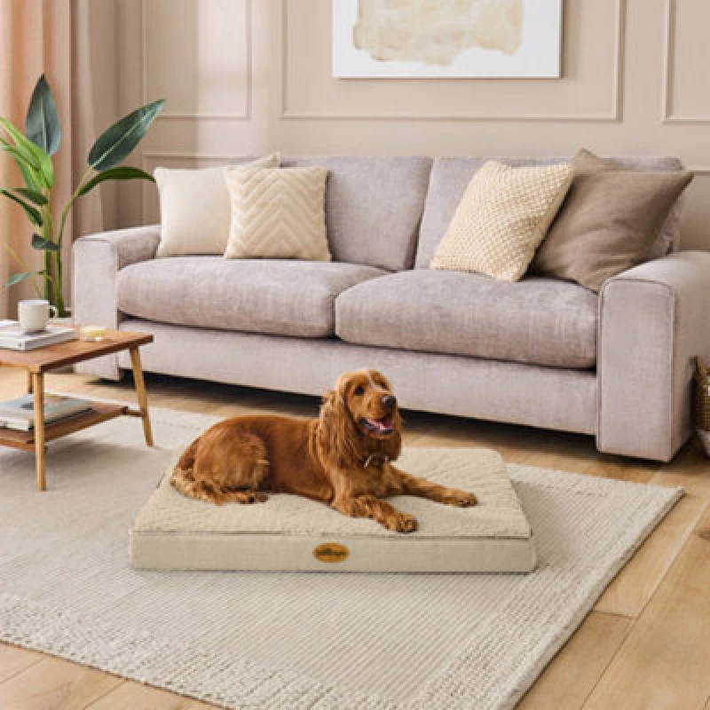 Image of Silentnight Firm Support Crate Mattress Pet Bed - Extra Large - Natural - Medium One Colour WF9ZU Unisex