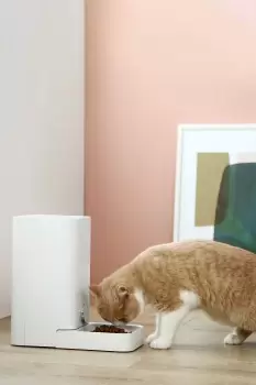 Image of Petkit Element Mini Auto Feeder - White