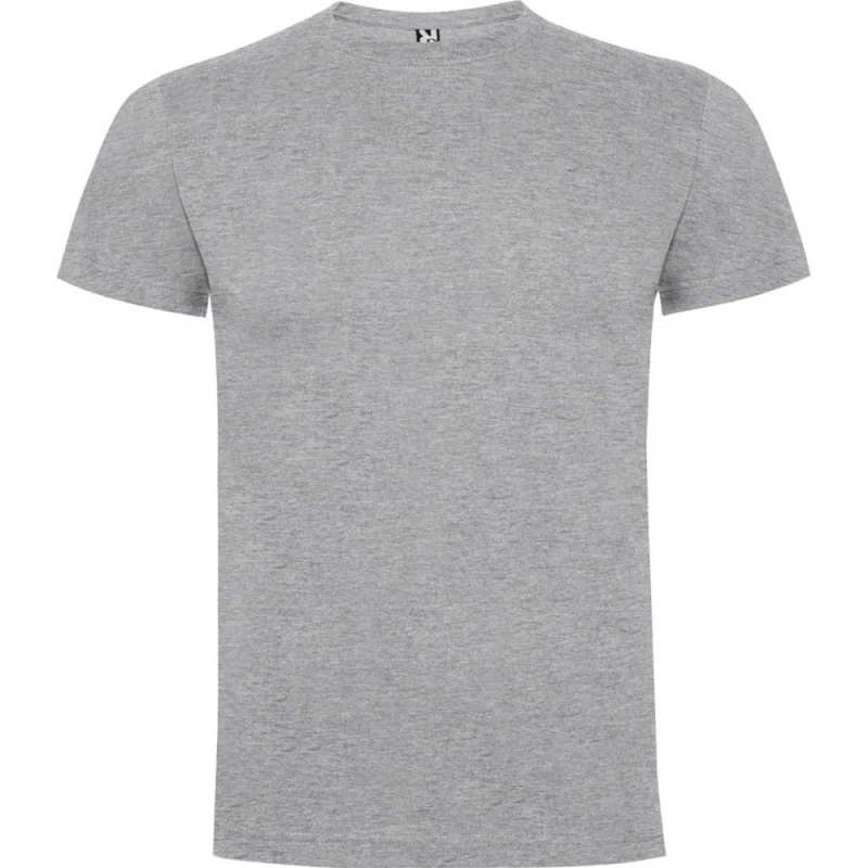 Image of Roly Dogo boys's Children's T shirt in Grey