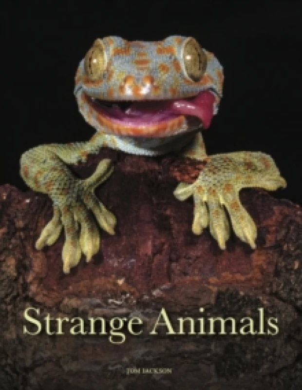 Image of Strange Animals Hardback