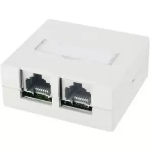 Image of Telegaertner Network outlet Surface-mount CAT 6 Pure white