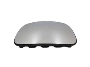 Image of DT Spare Parts Wide-angle mirror 3.86020 MERCEDES-BENZ,MAN,O 405,UNIMOG,E2000,F90,F90 Unterflur,L2000,LION'S CITY,LION'S COACH,LION'S STAR,M 2000 L