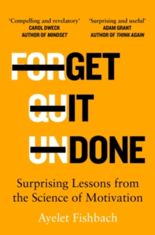 Image of Get it Done : Surprising Lessons from the Science of Motivation Paperback / softback