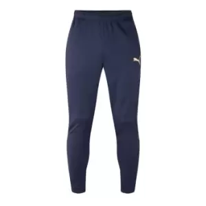 Image of Puma TeamRISE Training Pants Mens - Blue