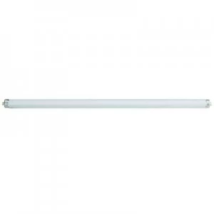 Image of OSRAM Fluorescent tube EEC: A (A++ - E) G13 36 W Warm white Tube shape (Ø x L) 26mm x 1200 mm