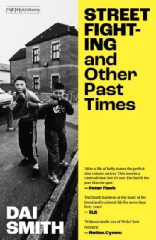 Image of Street Fighting and Other Past Times Paperback / softback