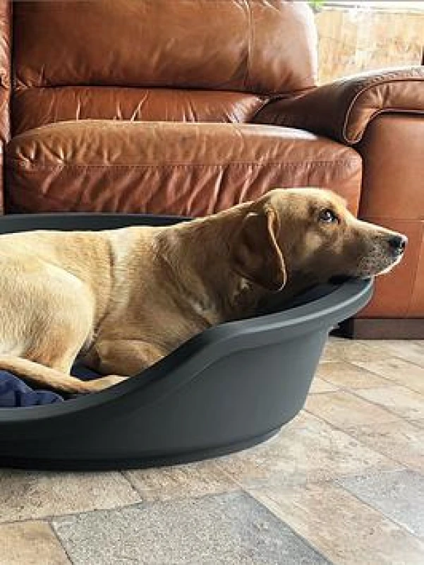 Image of Rosewood Plastic Pet Bed- Grey - Large One Colour WA5KH Unisex