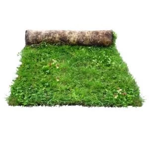 Image of Meadowmat Wildflower turf W1000mm L1000mm Roll of 20