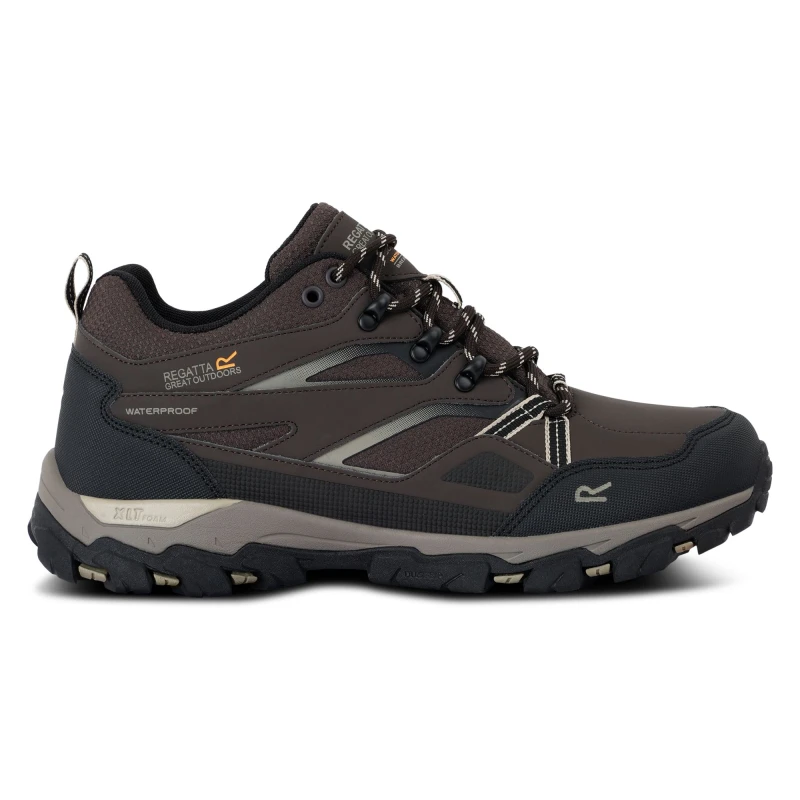 Image of Hiking shoes Regatta Holcombe III Marron Male 47