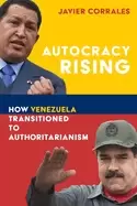 Image of autocracy rising