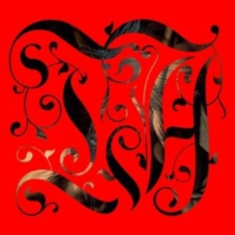 Image of The adept Vinyl