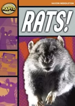 Image of Rats by Haydn Middleton