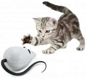 Image of PetSafe FroliCat RoloRat Automatic Cat Teaser
