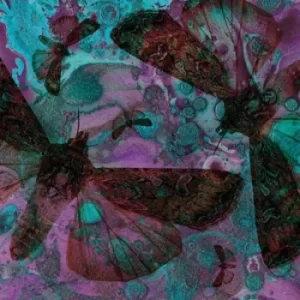 Image of Y Gwyfyn by The Gentle Good CD Album