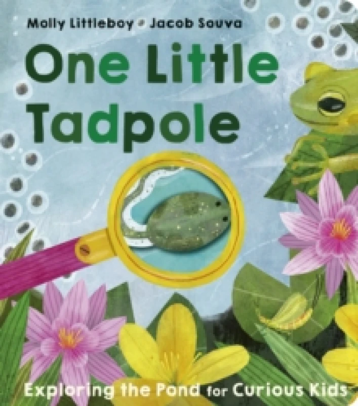 Image of One Little Tadpole Board book