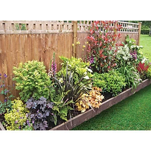 Image of Garden On A Roll Mixed Shady Border Pack 9m x 90cm Plants