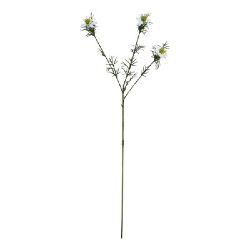 Image of The Natural Garden Collection White Nigella Love In A Mist