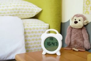 Image of Snoozee Sleep Trainer and Clock