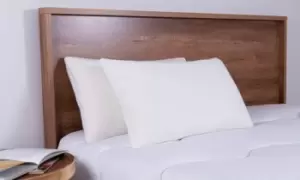 Image of Memory Foam Plus Firm Support Pillow: One