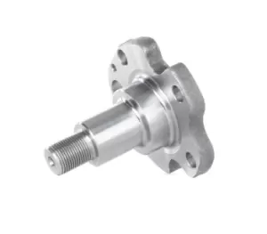 Image of TOPRAN Wheel Hub Rear Axle both sides 109 871 VW,AUDI,SKODA,Golf IV Schragheck (1J1),Golf IV Variant (1J5),Bora Limousine (1J2),Bora Variant (1J6)