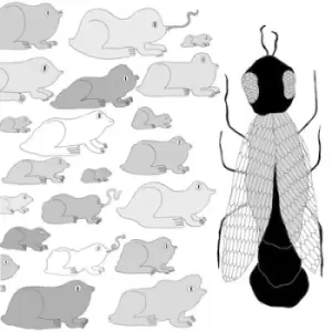 Image of A Simple Guide to Small and Medium Pond Life by Pet Crow Vinyl Album