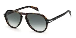 Image of David Beckham Sunglasses DB 7079/S 086/9K