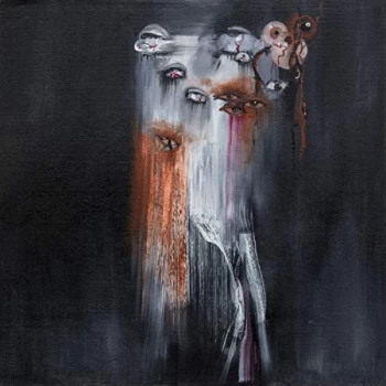 Image of Insect Ark - The Vanishing Vinyl