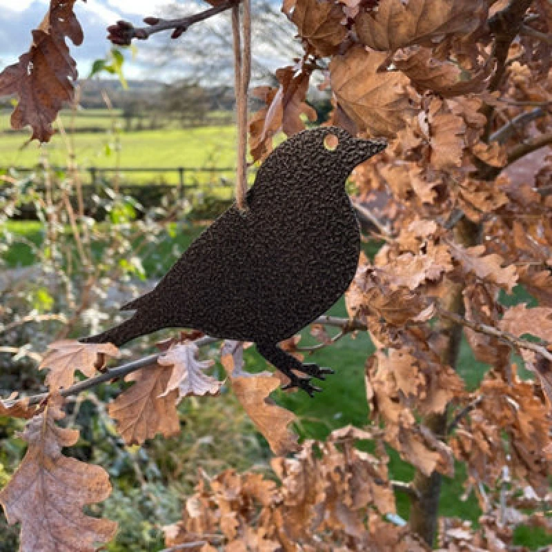 Image of Poppy Forge Hanging Finch Garden Art (Pack Of 3) - W20 X H13cm - Black