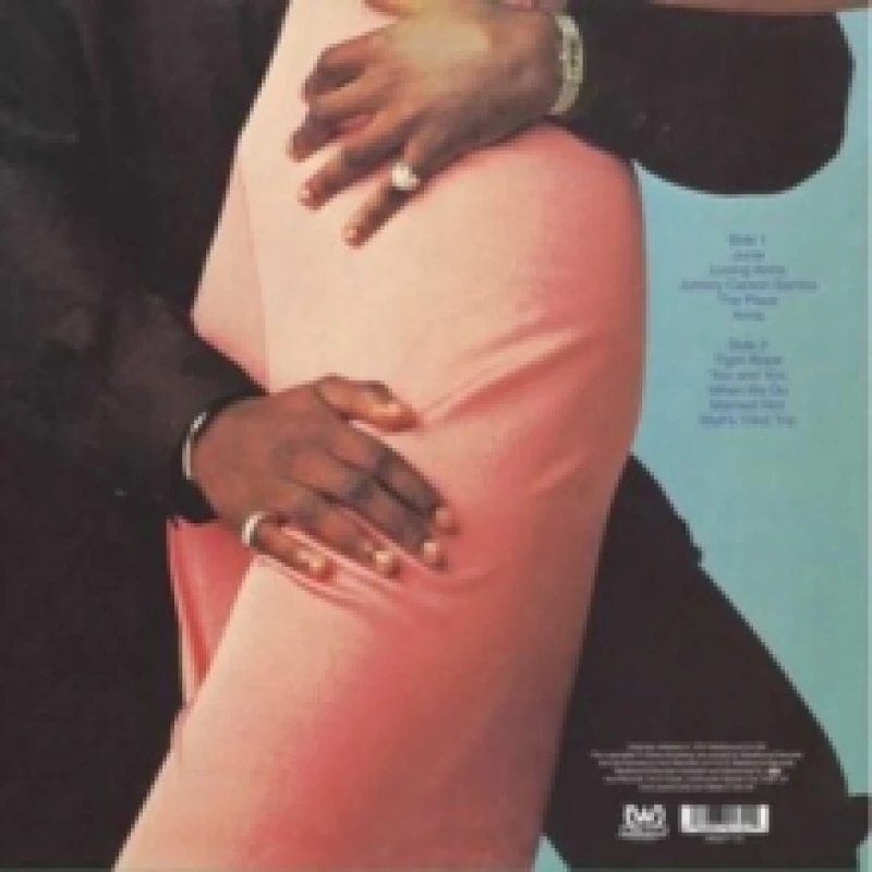 Image of When We Do Vinyl