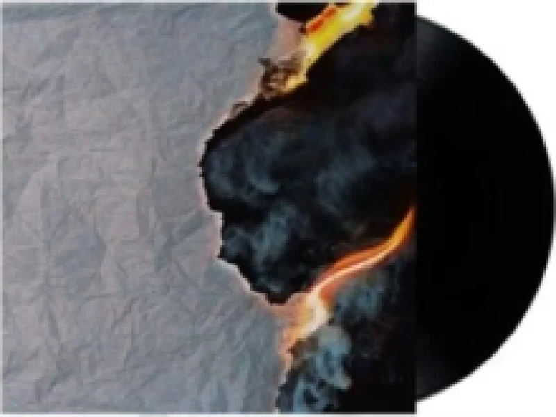 Image of Server Vinyl