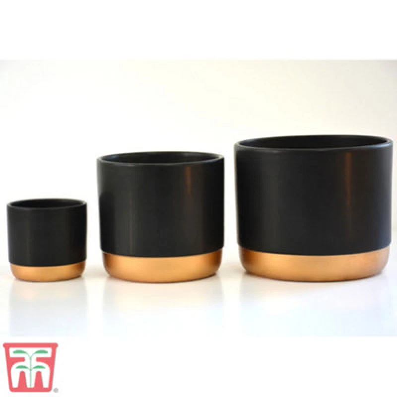 Image of Thompson & Morgan Black & Gold Two-Tone Ceramic Plant Pot