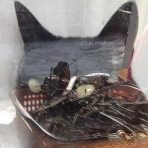 Image of Hidden Lights by Carlton Melton Vinyl Album