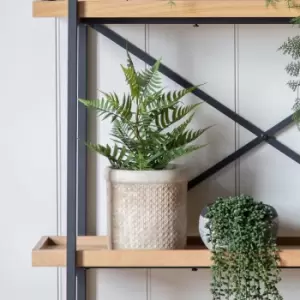 Image of Gallery Interiors Eason Lady Faux Plant Green