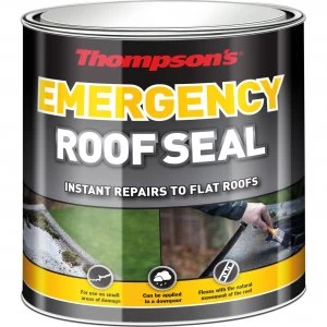 Image of Ronseal Thompsons Emergency Roof Seal 2.5l