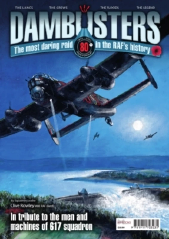 Image of Dambusters Paperback / softback