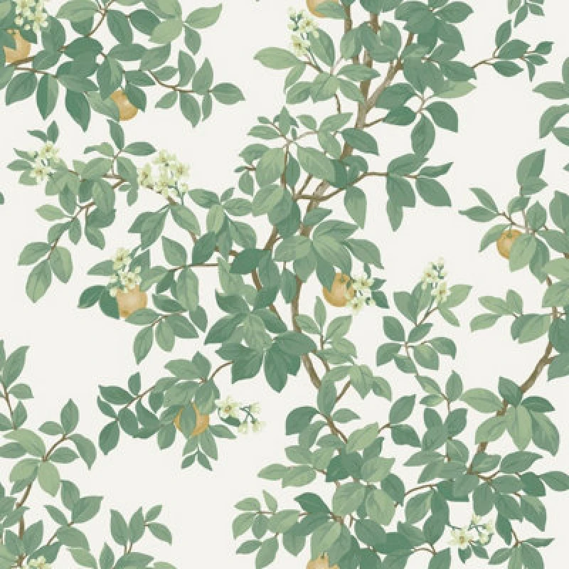 Image of Holden Decor Orange Tree Cream Green Wallpaper, Green 14240