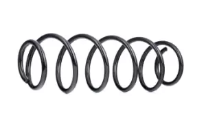 Image of KYB Coil spring Rear Axle RH6394 Suspension spring,Springs RENAULT,LAGUNA III (BT0/1)