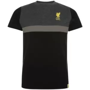 Image of Liverpool FC Childrens/Kids Panel T-Shirt (9-10 Years) (Black/Charcoal/Gold)