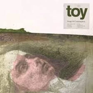 Image of TOY - Songs Of Consumption Limited Edition Vinyl
