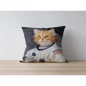 Image of a1017 Multicolor Cushion Cover