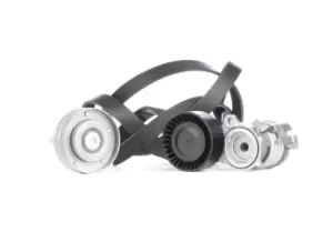 Image of INA V-ribbed belt set Check alternator freewheel clutch & replace if necessary 529 0090 10 Serpentine belt kit,Auxiliary belt kit VW,SKODA,SEAT