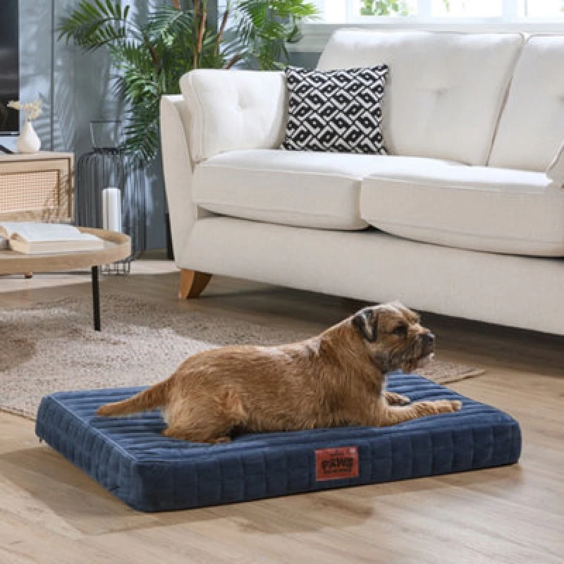 Image of Slumberdown Paws for Slumber Medium Orthopedic Pet Bed Navy