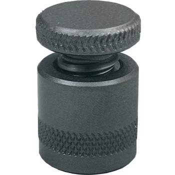 Image of SC11A 65X100MM Screw Jack - Indexa