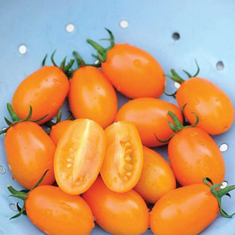 Image of Thompson & Morgan Tomato Orange Beauty F1 1 Seed Packet