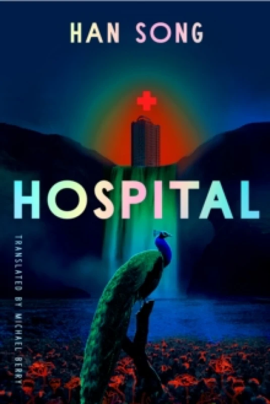 Image of Hospital Paperback / softback