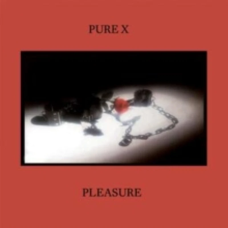 Image of Pleasure Vinyl
