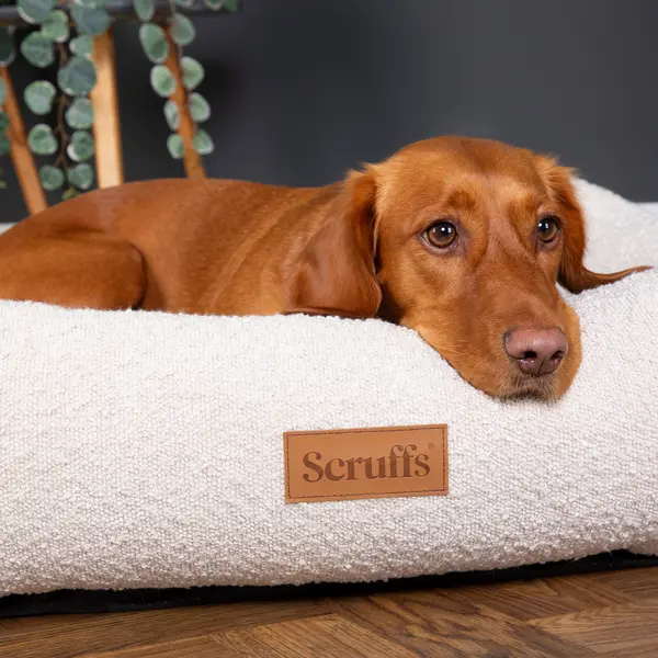 Image of Scruffs Boucle Box Bed Cream